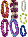 Custom Orchid Graduation Lei Collection featuring purple, white, blue, green, and mixed-color fresh orchid leis for graduation ceremonies.