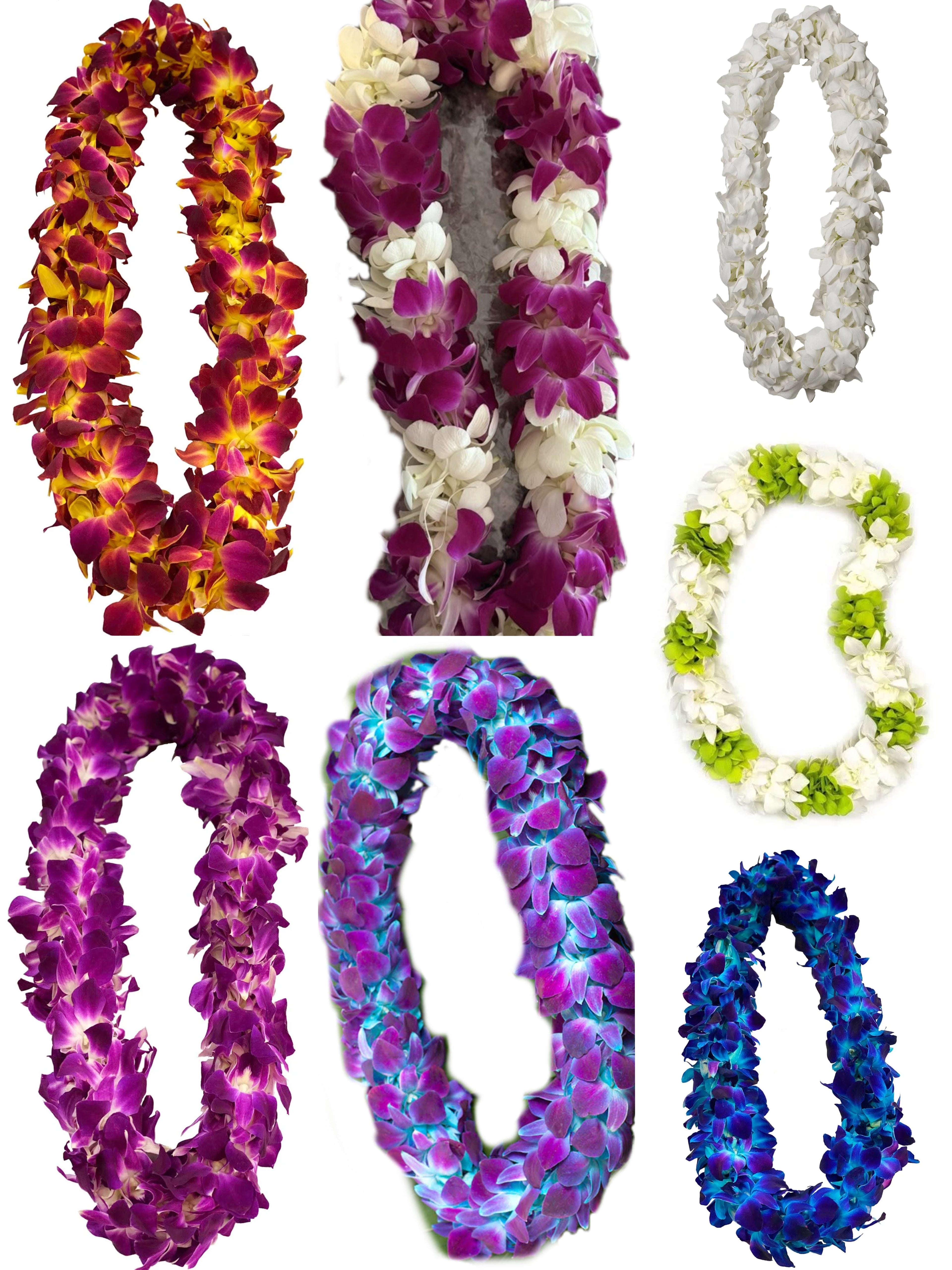 Custom Orchid Graduation Lei Collection featuring purple, white, blue, green, and mixed-color fresh orchid leis for graduation ceremonies.