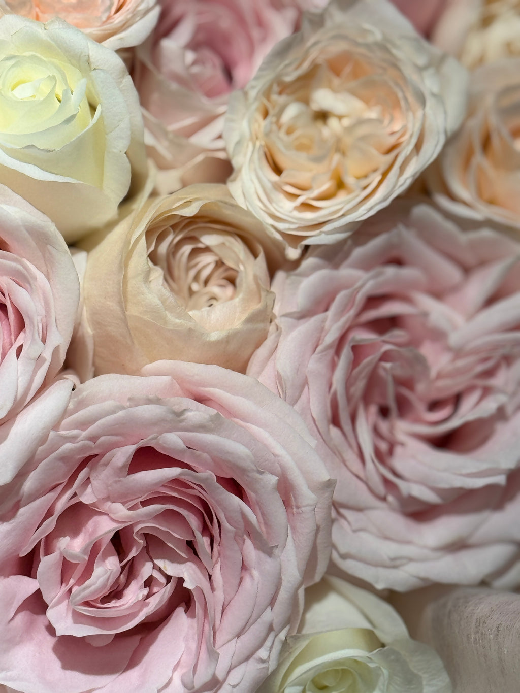Crème Rosé Bouquet