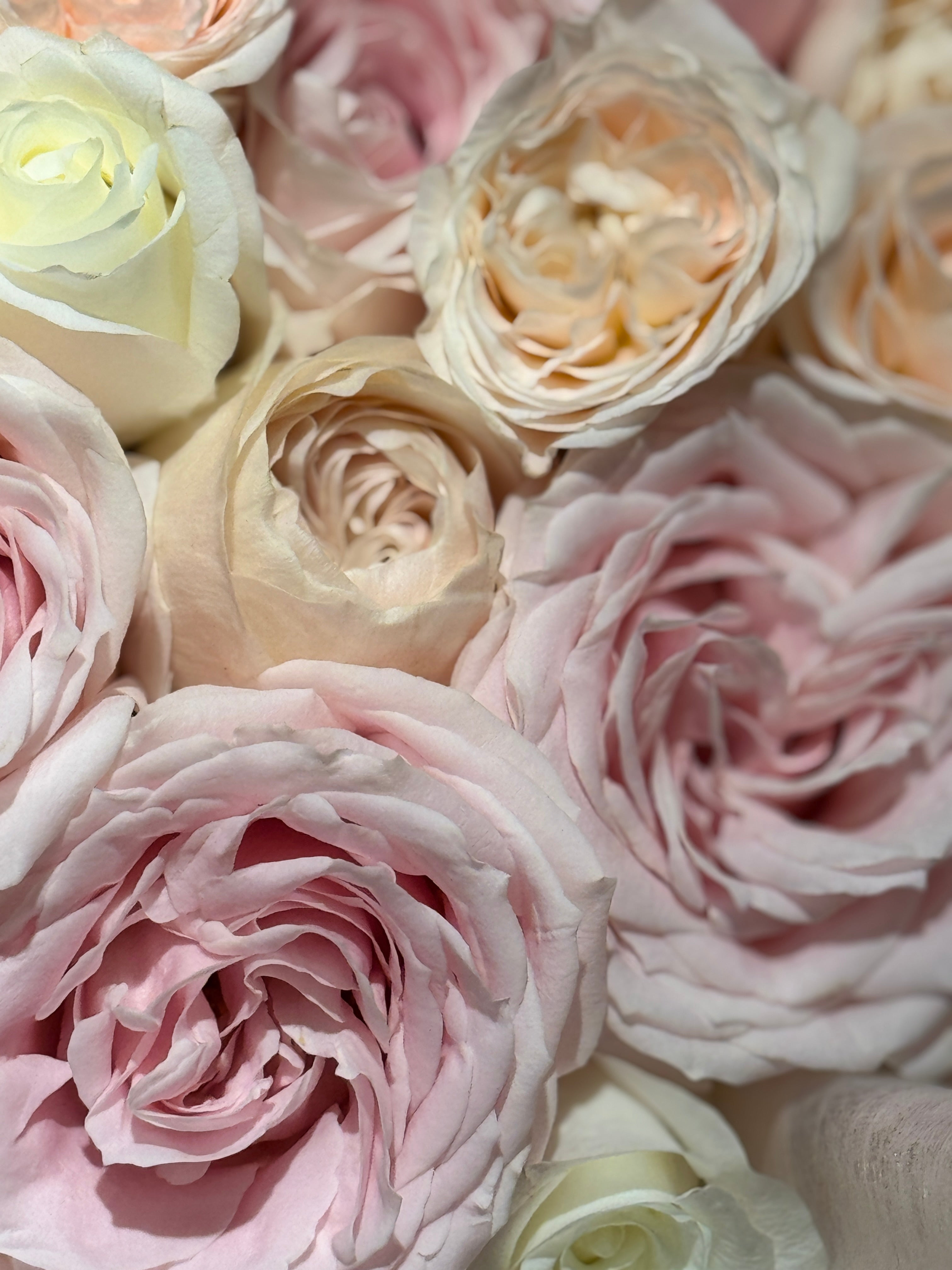 Crème Rosé Bouquet