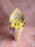 Carnation Ice Cream