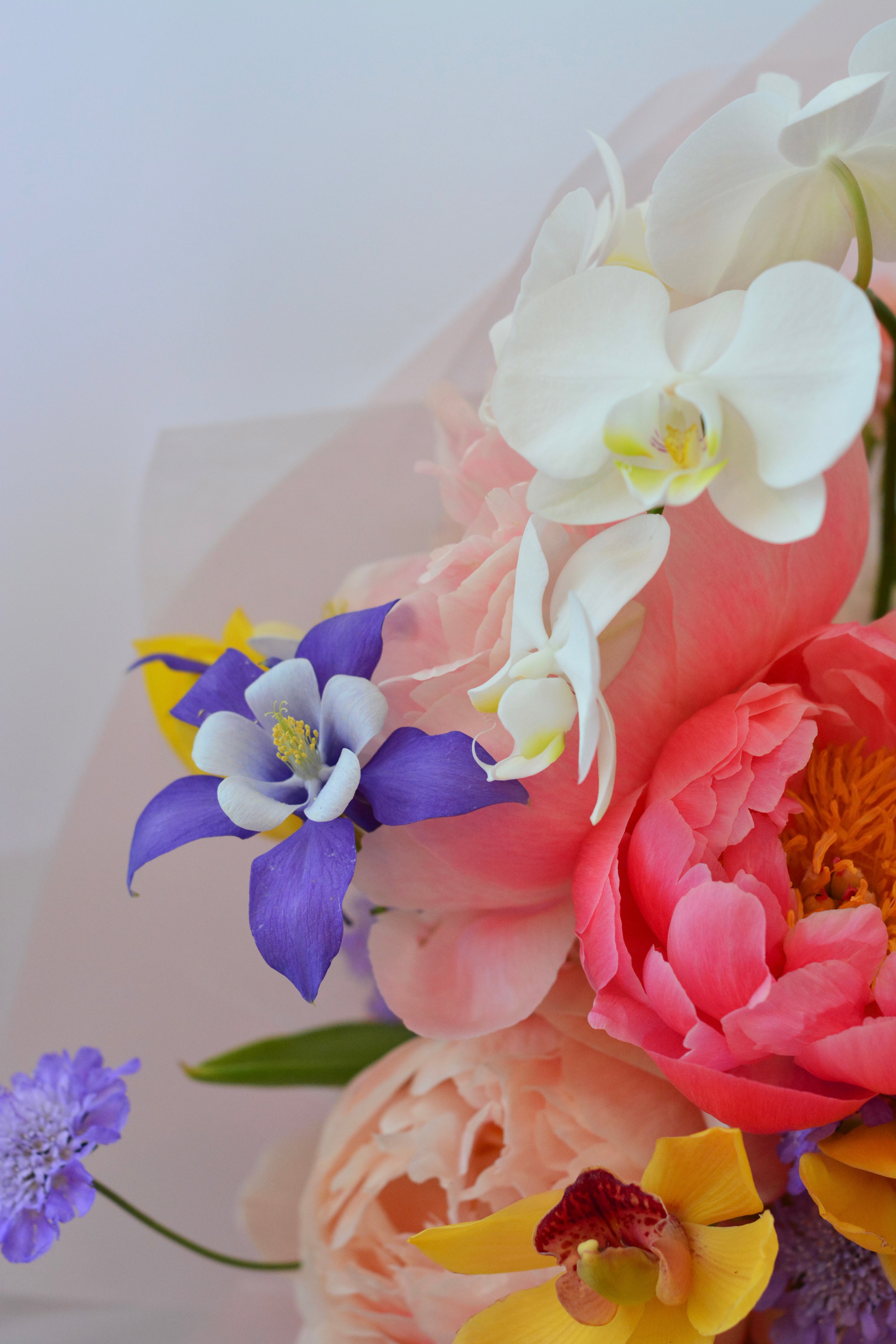 Blushing Meadow Bouquet