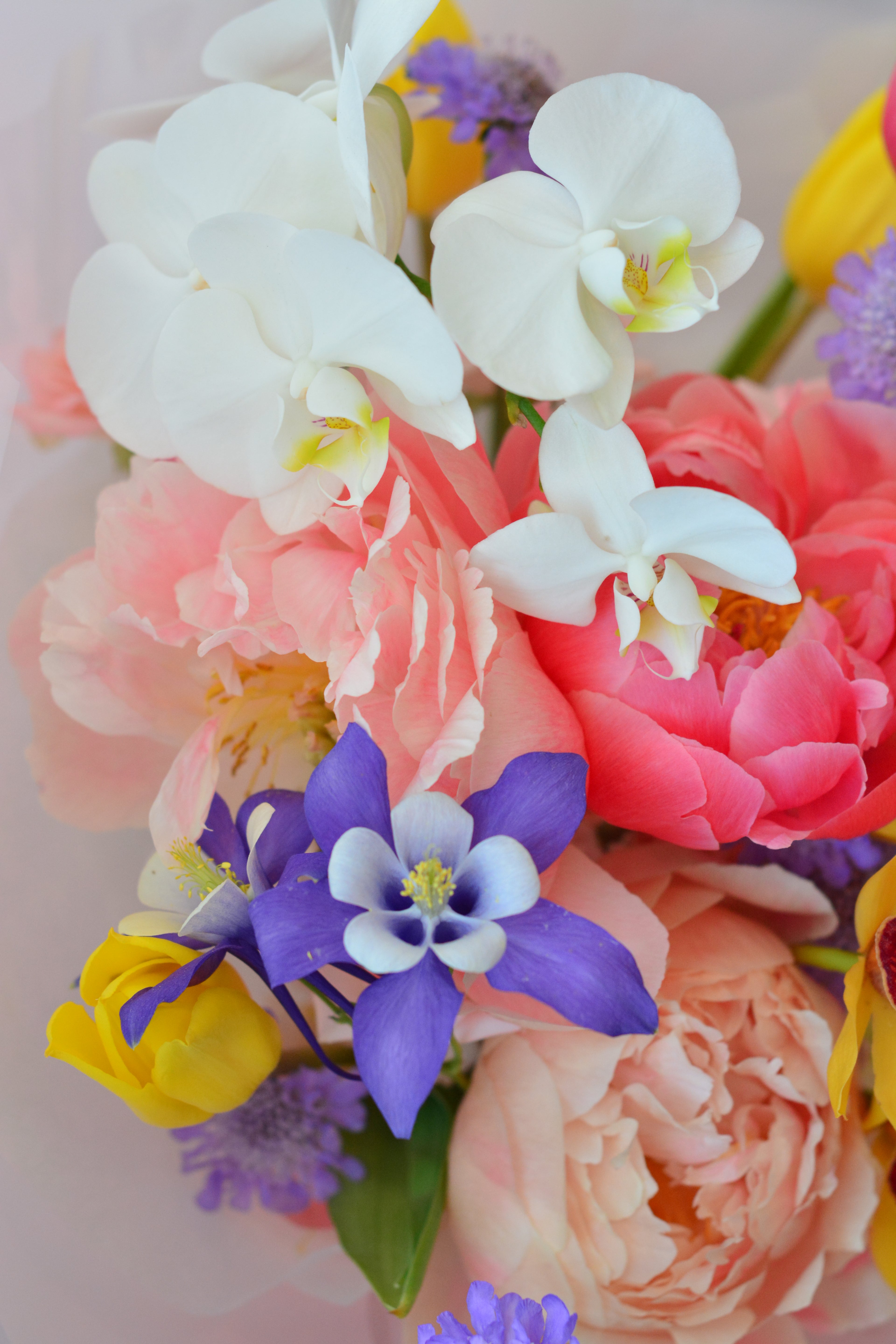 Blushing Meadow Bouquet