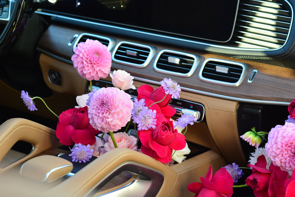 Passenger Princess Installation