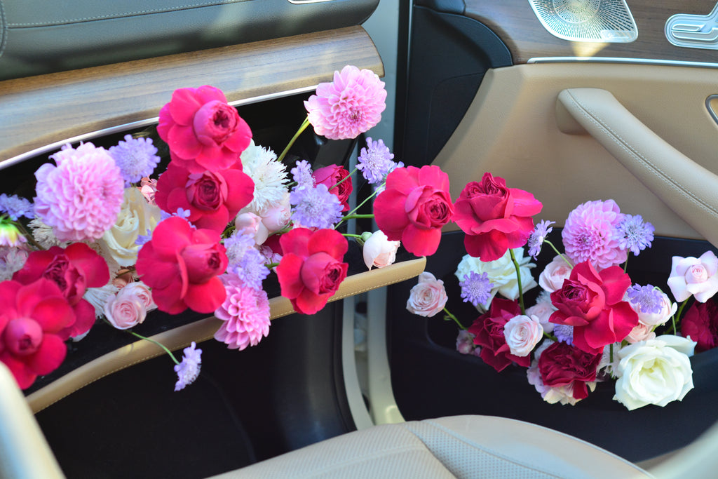 Passenger Princess Installation
