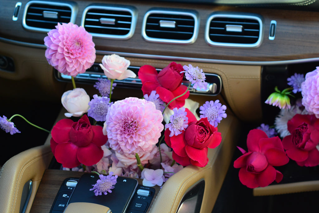 Passenger Princess Installation