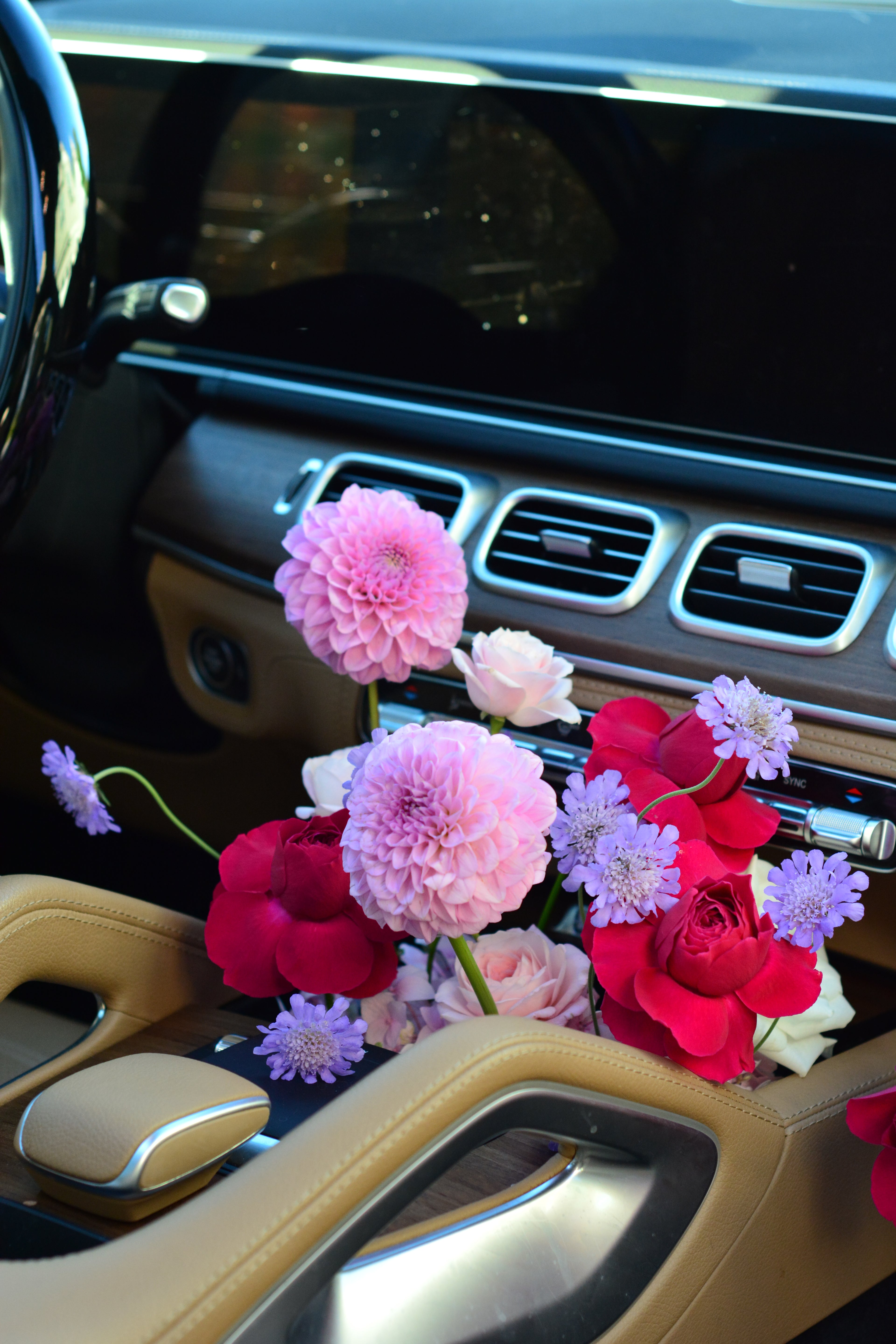 Passenger Princess Installation