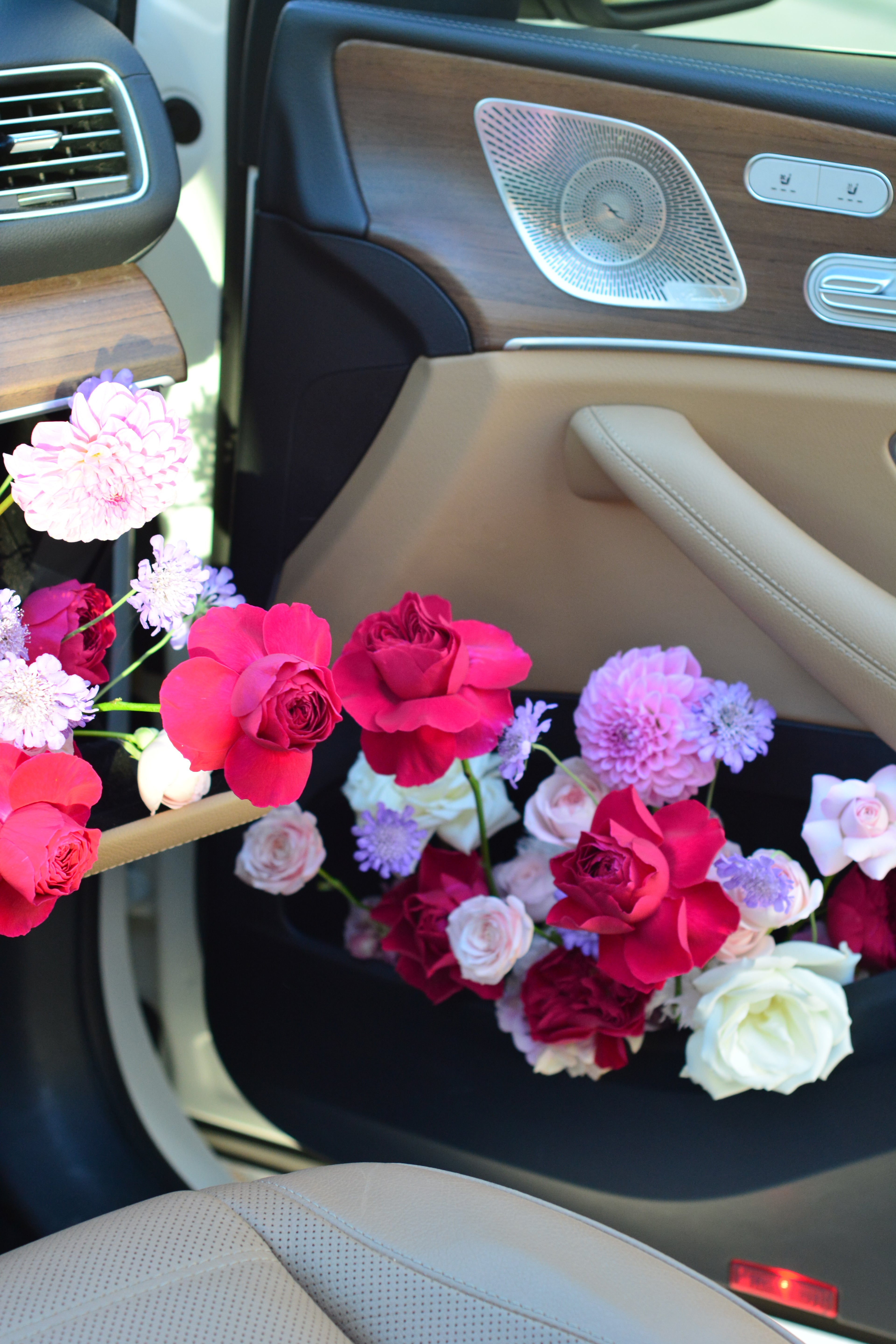Passenger Princess Installation