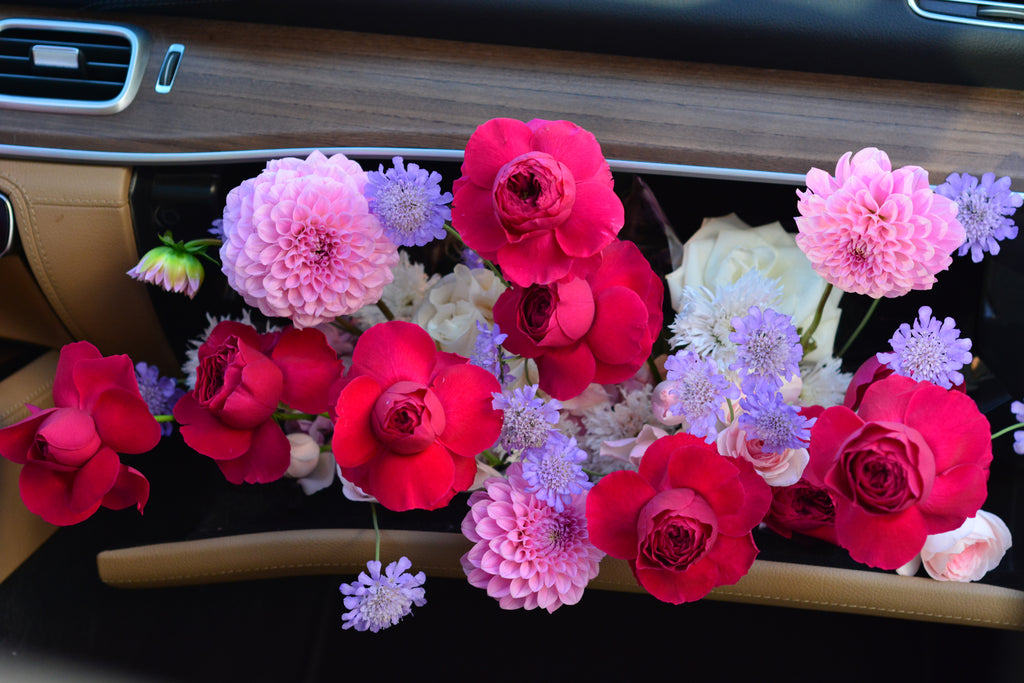 Passenger Princess Installation