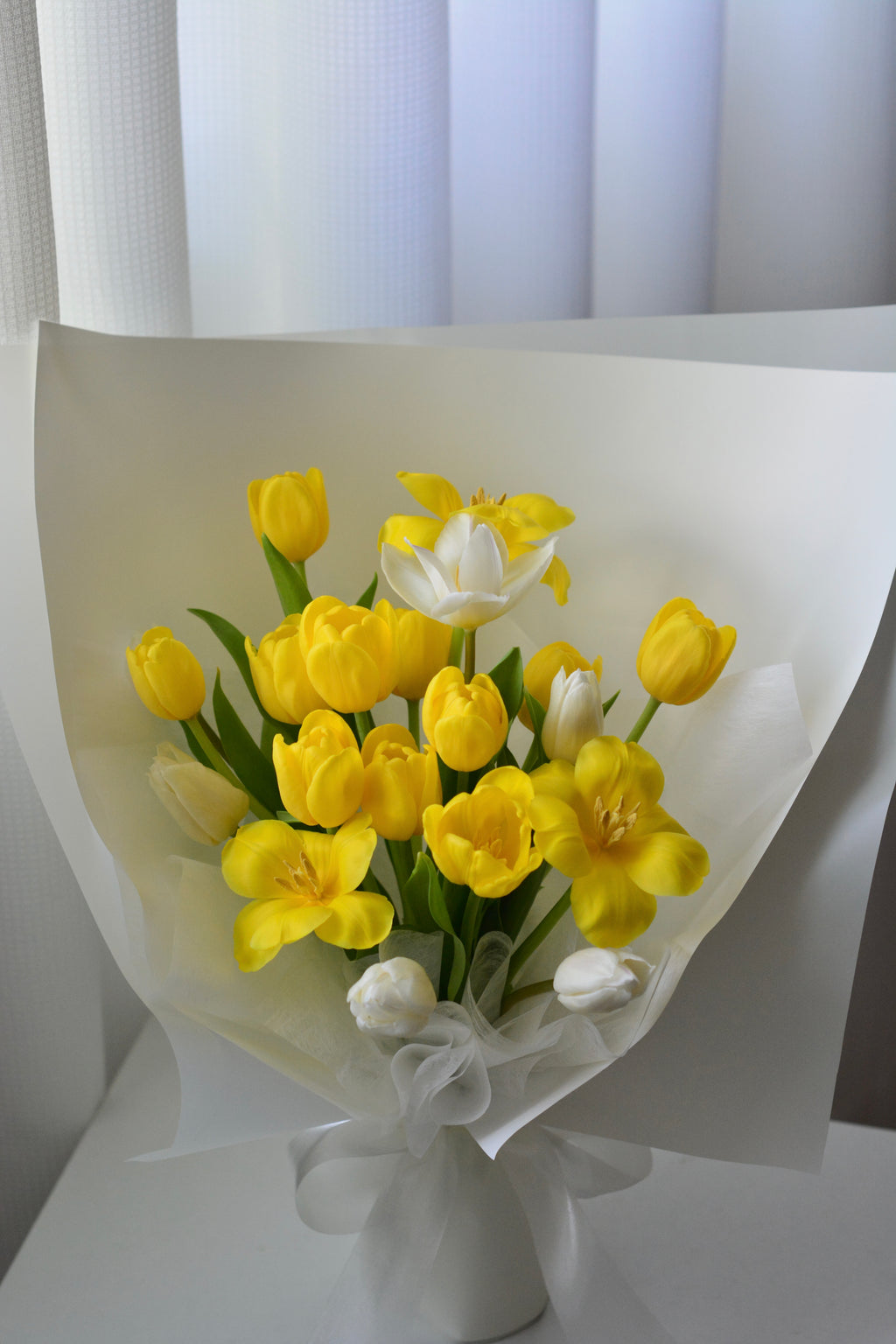 Sunlit Bloom | Yellow & White Tulip