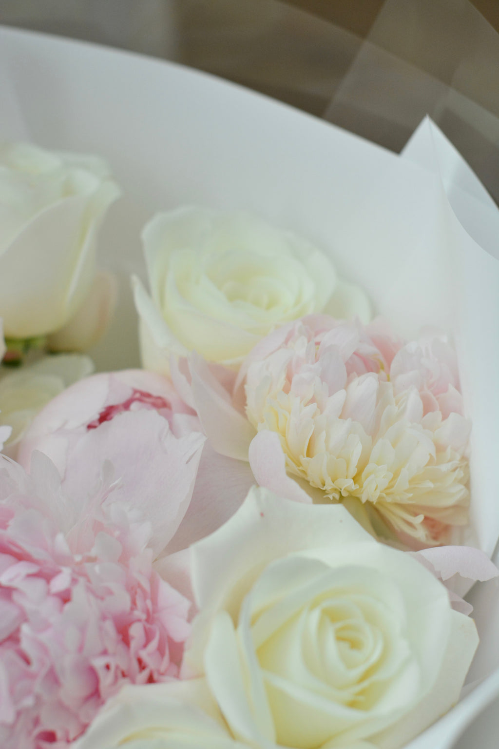 Blush Whisper