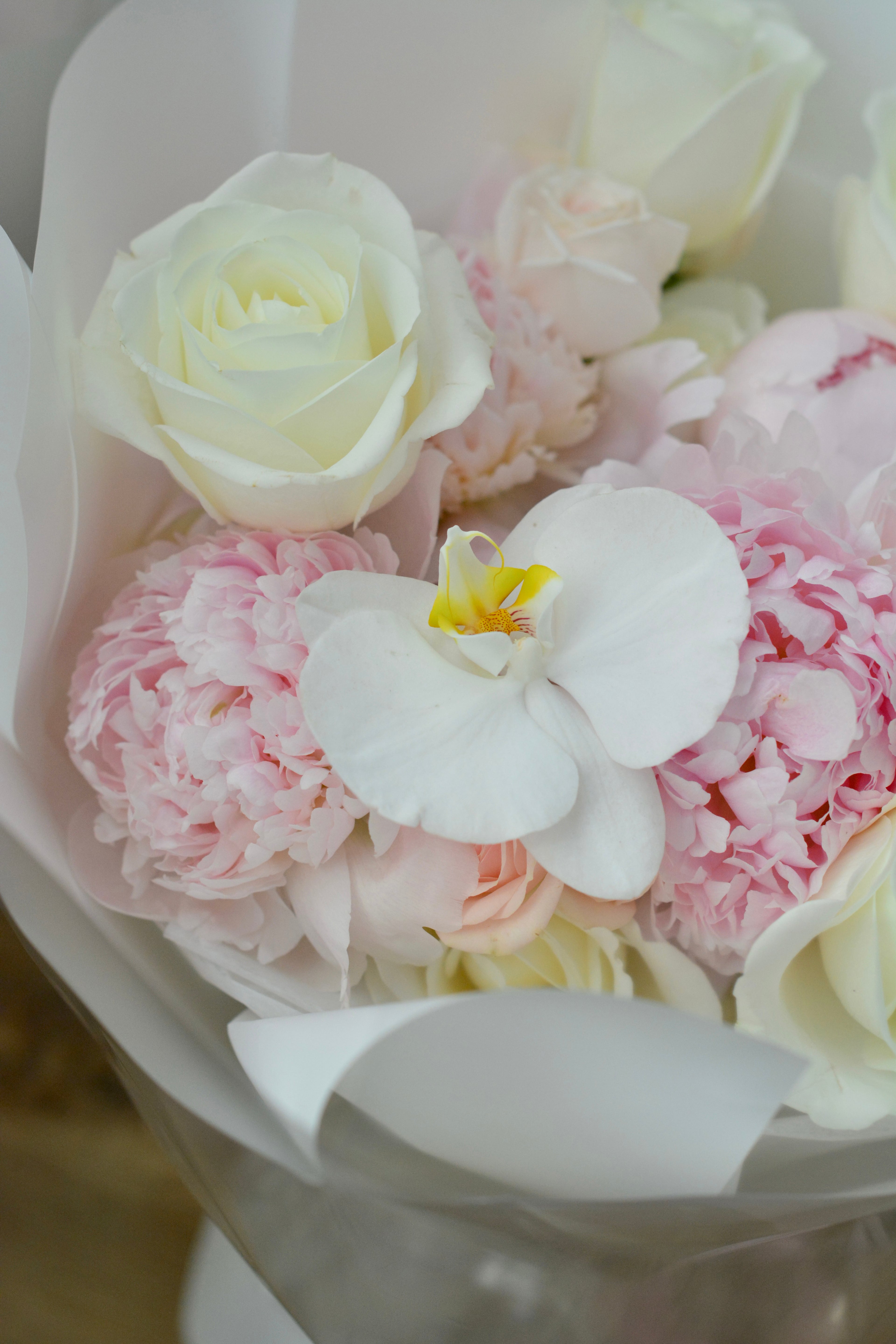 Blush Whisper