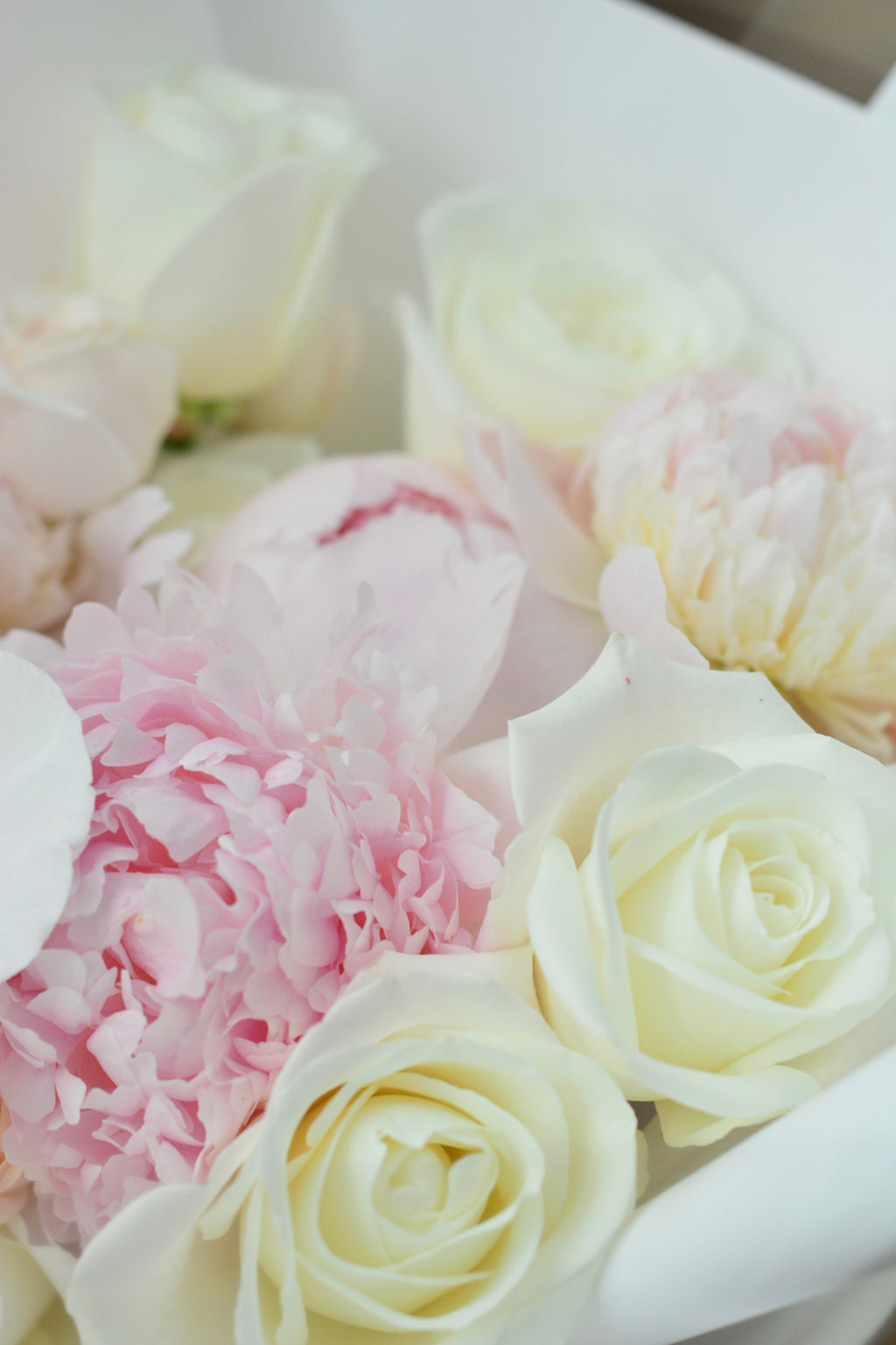 Blush Whisper