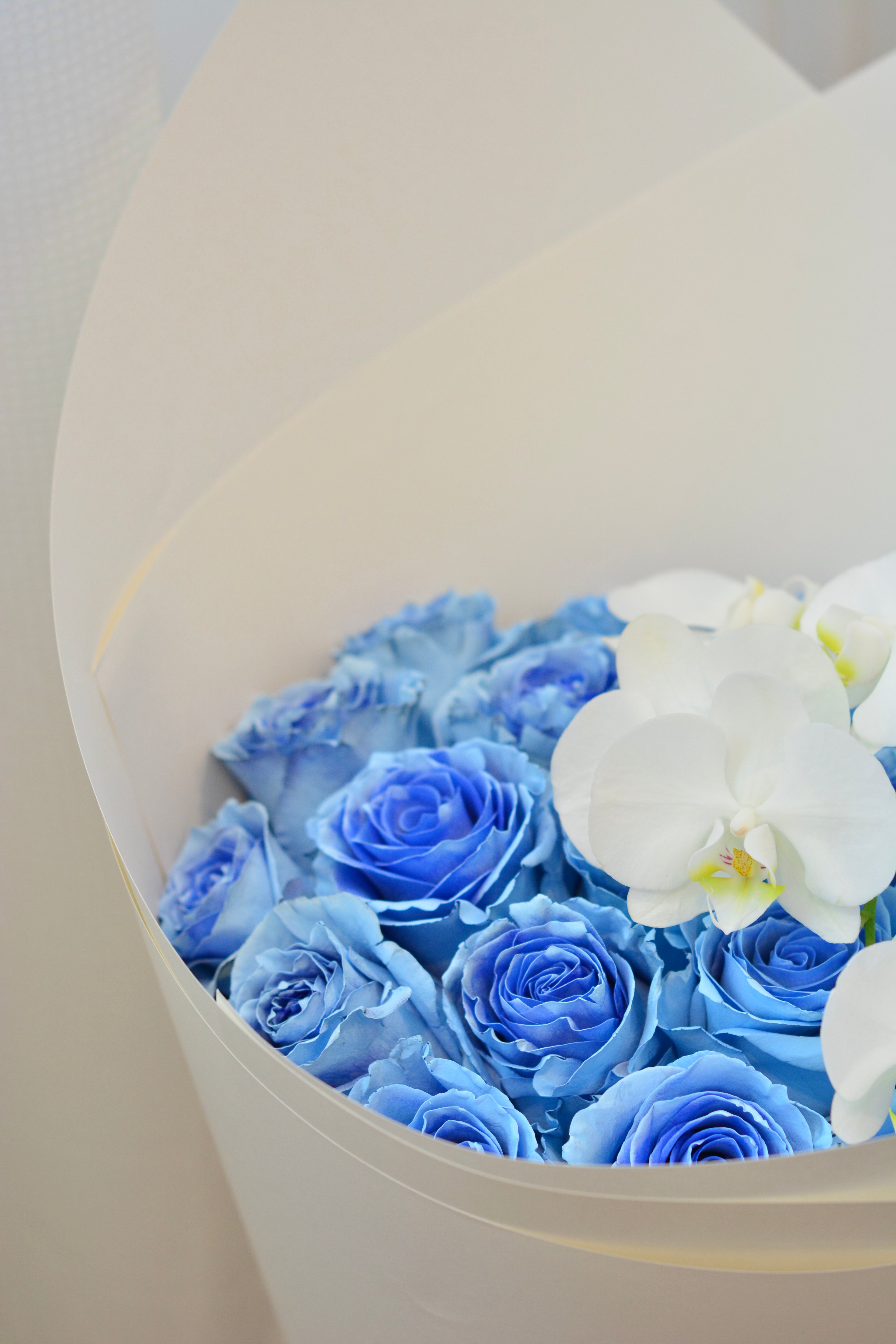 Blue Serenity